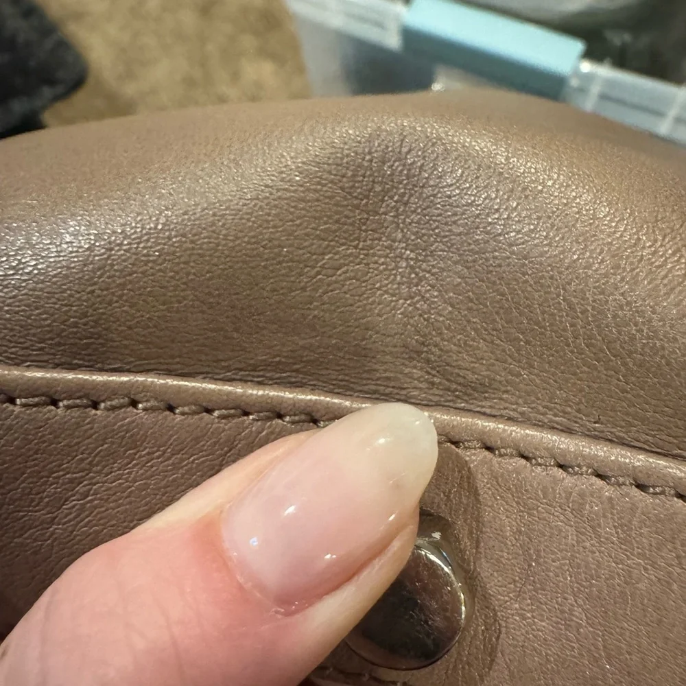 Rebecca Minkoff chic brown